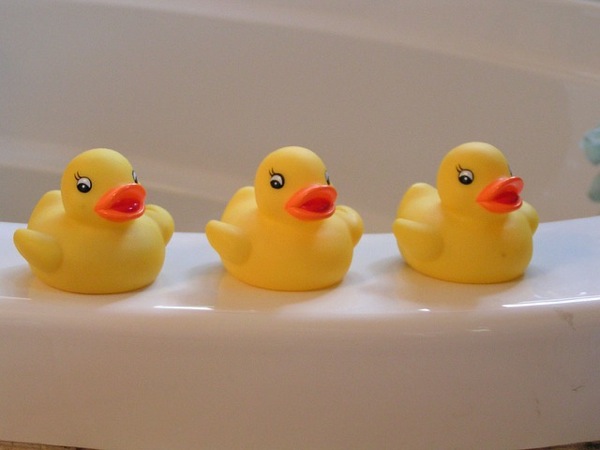 Rubber duckies 14614 640