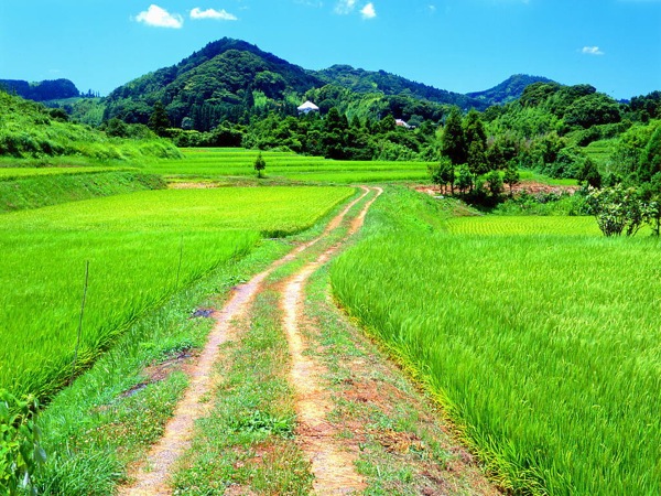 田舎